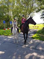 Paardrijden, lease pony paard Dagbesteding & paardencoaching