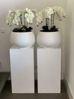 2 zuilen en witte grote bloempotten met kunst orchideeën