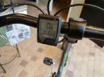 van Raam Easy Rider 3 - Nieuw - Direct leverbaar, Fietsen en Brommers, Fietsen | Driewielfietsen, Ophalen of Verzenden, Nieuw