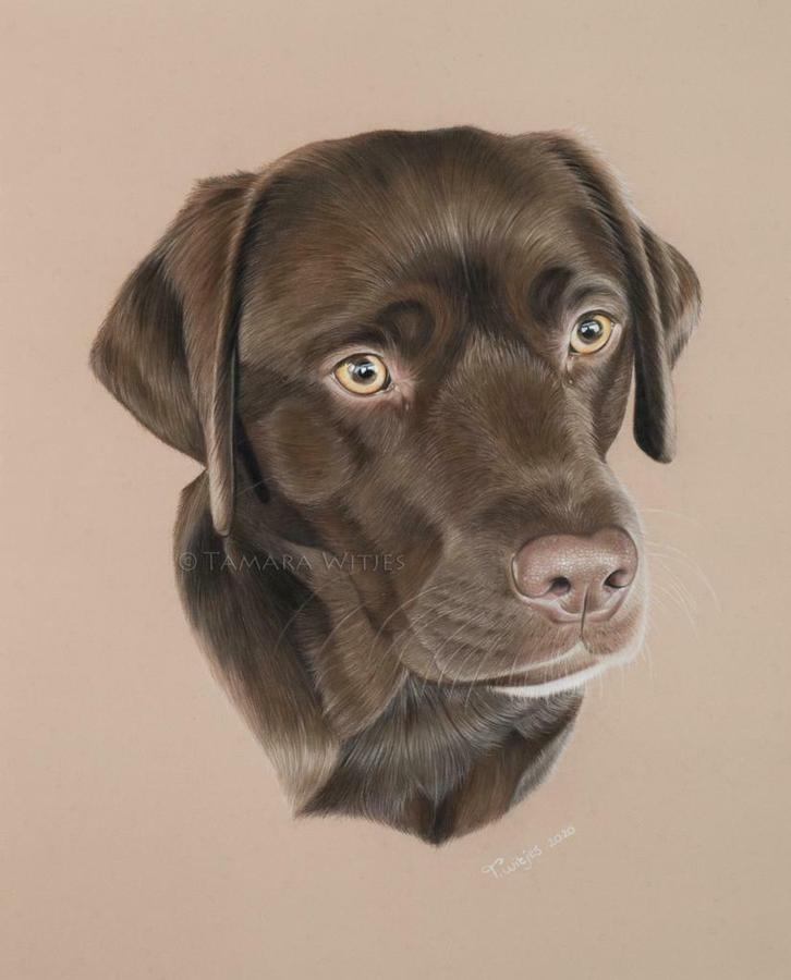 Portrettekenaar - Realistische portrettekening in opdracht, Diensten en Vakmensen, Kunstenaars en Portretschilders, Tekeningen