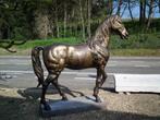 Bronzen Paard Lifesize, Nieuw, Ophalen of Verzenden, Metaal, Dierenbeeld