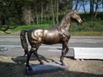 Bronzen Paard Lifesize, Ophalen of Verzenden, Nieuw, Metaal, Dierenbeeld