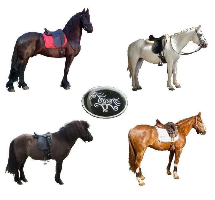 Westeind Zadelmakerij korte  ronde barokke paarden,  Zaldi, Dieren en Toebehoren, Paarden en Pony's | Zadels, Nieuw, Overige soorten