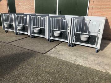 Kalverboxen groot 100 x 160 cm beschikbaar voor biedingen