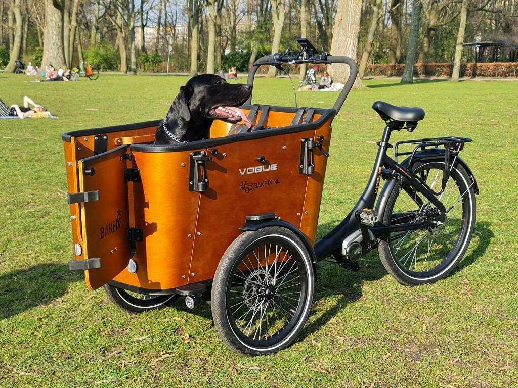 ≥ Bakfix Dog Deluxe bakfiets voor uw hond en uw kinderen — Fietsen |  Bakfietsen — Marktplaats