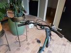 van Raam Easy Rider 3 - Nieuw - Direct leverbaar, Fietsen en Brommers, Fietsen | Driewielfietsen, Ophalen of Verzenden, Nieuw