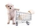 Webwinkel Happy feet, Diensten en Vakmensen, Dieren | Honden | Verzorging, Oppas en Les