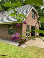 Vakantiewoning in Drenthe te huur (8 personen) Hooghalen