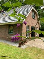 Vakantiewoning in Drenthe te huur (8 personen) Hooghalen, 8 personen, 4 of meer slaapkamers, In bos, Rolstoelvriendelijk