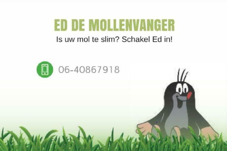 Mollenvanger, Diensten en Vakmensen, Ongediertebestrijding