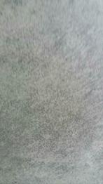 BETONLOOK GRIJS  / ZWART 60X60CM GERECTIFICEERD €17,50, Ophalen, 60 cm of meer, Nieuw, 10 m² of meer