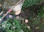 Boomverzorging&groenonderhoud, Garantie, Tuin- of Vijveraanleg