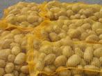 Aardappelen van de kleigrond, voor Frites !
