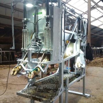klauwbekapbox behandelbox koe beschikbaar voor biedingen
