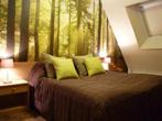 Luxe groepsaccommodatie (24 p) in Brabant op de Heidebloem!, Groepsaccommodatie, In bos, Noord-Brabant, Overige typen