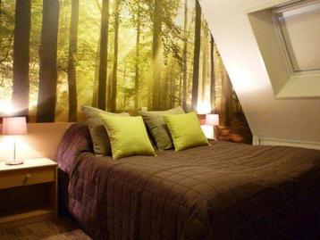 Luxe groepsaccommodatie (24 p) in Brabant op de Heidebloem! beschikbaar voor biedingen