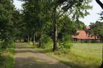 Heerlijke woonboerderij (4-14 pers.) in Drents Friese Woud, 12 personen, 4 of meer slaapkamers, In bos, Open haard