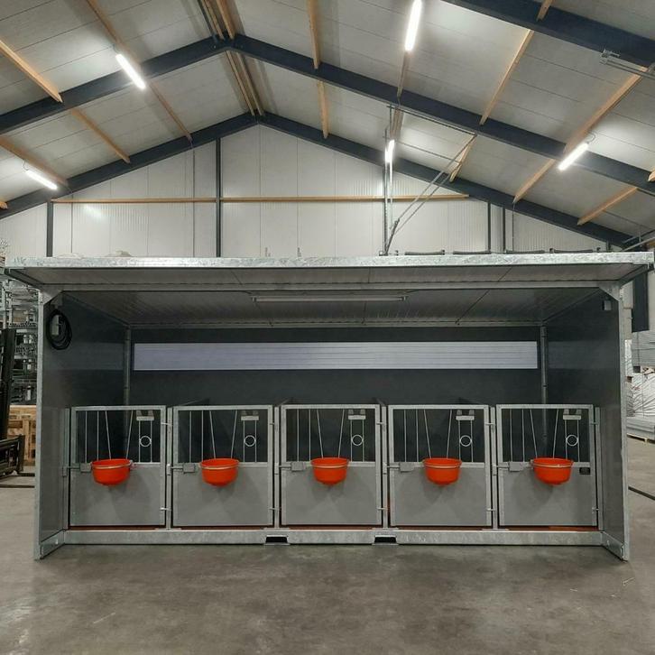 Kalverhokken.eenlingbox.kalveriglo's.hut., Dieren en Toebehoren, Runderen