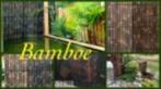 Black bamboo tuinschermen 120-180-200-220-240 cm hoog