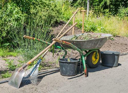 tuinman/Klusjesman, Diensten en Vakmensen, Tuinmannen en Stratenmakers, Tuin- of Vijveraanleg, Tuinonderhoud of Snoeiwerk