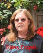 Bedrijfstraining Engels taaltraining vertaalster Ielts, Privéles, Bijles