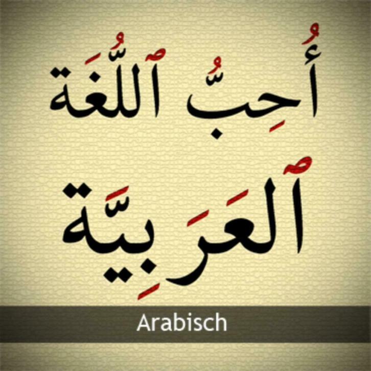 Arabisch leren?, Diensten en Vakmensen, Bijles, Privé-les en Taalles, Bijles, Examen- of Scriptiebegeleiding, Huiswerkbegeleiding