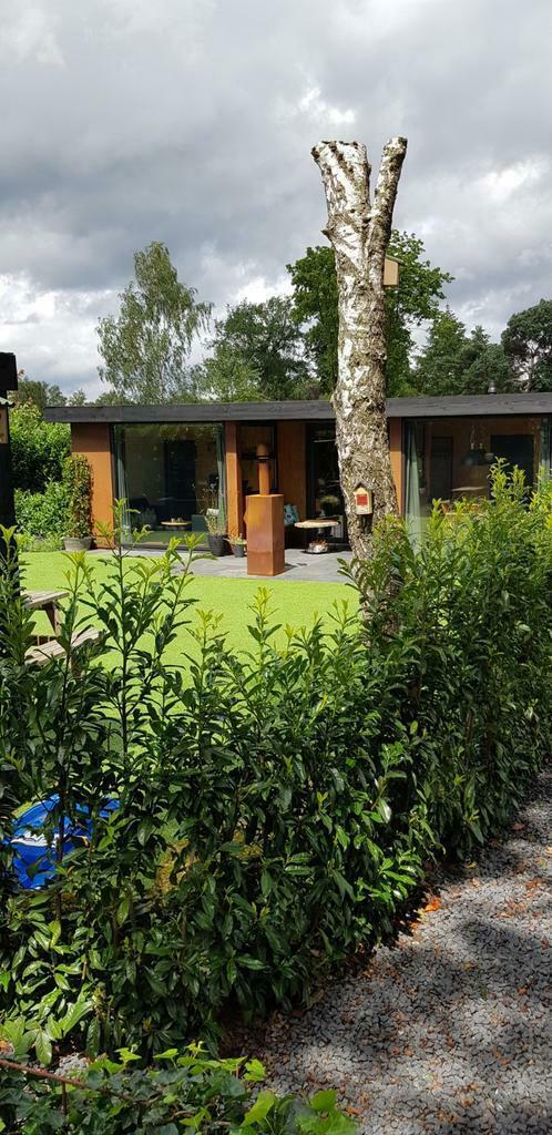 Zomervakantie  Veluwe 6 pers Bungalow Zwembad Tapas Bowlen, Vakantie, Vakantiehuizen | Nederland, Gelderland en Veluwe, Chalet, Bungalow of Caravan