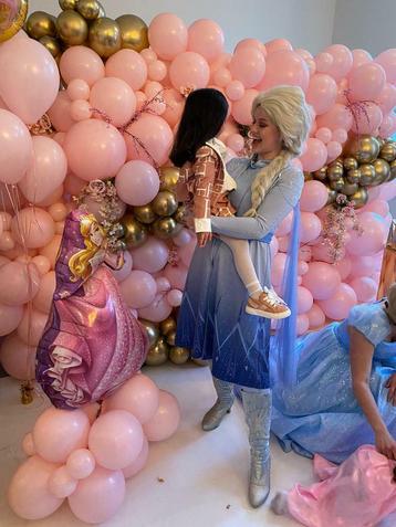 Prinses, schminkprinses, Elsa,mascotte, Schmink, suikerspin