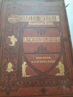 Geïllustreerde werken van Charles Dickens