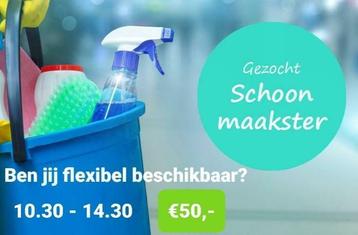 GEZOCHT Schoonmaakster / schoonmaker / schoonmaak / huishoud beschikbaar voor biedingen