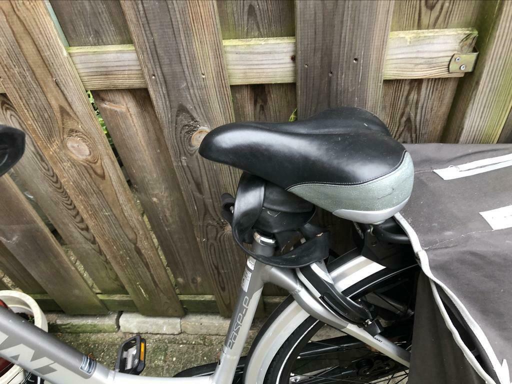 ≥ ZGAN Giant elektrische fiets! — Elektrische fietsen — Marktplaats