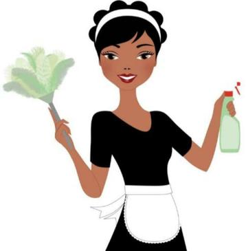 Cleaning lady Haarlem beschikbaar voor biedingen