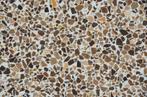 Terrazzo tegels 40x40 cm Ecostone Coffee granito graniet, Doe-het-zelf en Verbouw, Tegels, Nieuw, Ophalen of Verzenden, Graniet