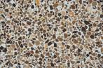 Terrazzo tegels 40x40 cm Ecostone Coffee granito graniet, Doe-het-zelf en Verbouw, 40 tot 60 cm, Graniet, 40 tot 60 cm, Nieuw