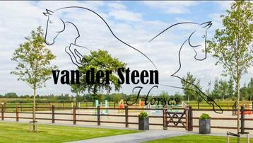 TE KOOP GEVRAAGD: spring- dressuurpaarden!  beschikbaar voor biedingen