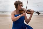 Vioolles, altvioolles in Geldermalsen, Den Haag, Bodegraven, Privéles, Strijkinstrumenten