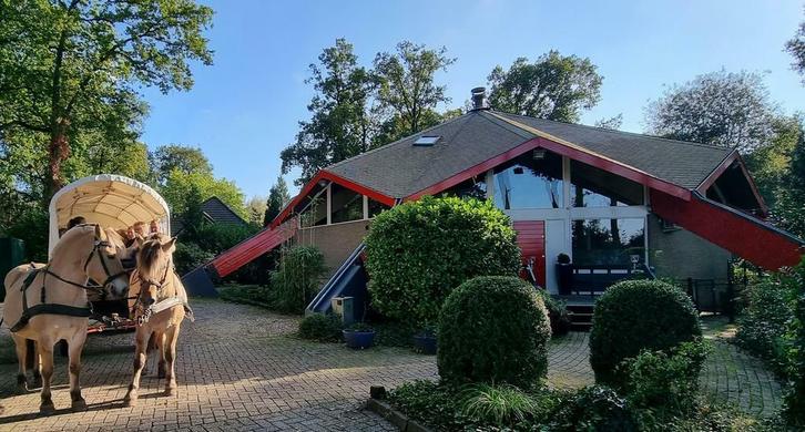 Prachtige Groepsaccommodatie, Veluwe (18 personen), Vakantie, Vakantiehuizen | Nederland, Gelderland en Veluwe, Landhuis of Villa