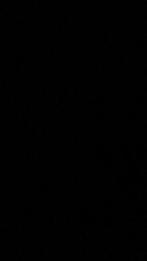 Malossi variateur Honda scoopy, Ophalen of Verzenden