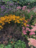 Beplantingsplan maken + Planten leveren + Tuin beplanten, Garantie, Tuin- of Vijveraanleg