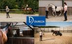 Dureza - Marika Bungert, Diensten en Vakmensen, Dieren | Paarden | Verzorging, Oppas en Les, Stalling of Weidegang