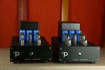 Pink Faun Tube Amp 1x40 TRADE.INRUIL Luistersessie? Welkom!