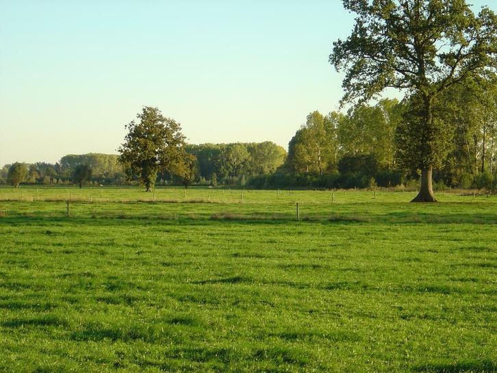 2 tot 12 persoons vakantiewoningen, Vakantie, Vakantiehuizen | Nederland, Gelderland en Veluwe, Boerderij of Cottage, Landelijk