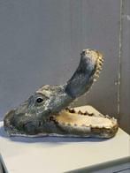Krokodillen kop steen ( pleister - gips )