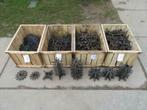 Rooispinnen / rooisterren (div. diameters, nieuw), Zakelijke goederen, Agrarisch | Werktuigen, Ophalen of Verzenden, Bollenteelt