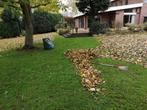 Klein TUINWERK in Nijmegen ! **Herfst opruiming!!!**, Diensten en Vakmensen, Tuinmannen en Stratenmakers, Tuin- of Vijveraanleg