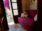 Jouw thuis in ons IBIZA vakantiehuis, 1 slaapkamer, Appartement, Ibiza of Mallorca, Aan zee