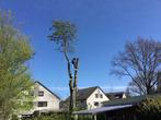bomen rooien boomsingels takken versnipperen midikraan, Hekwerk of Schuttingen