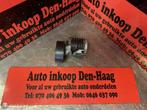 VW Polo Seat Audi ('09-'14) 1.2/1.4 TDI Spanrol Multiriem, Ophalen of Verzenden, Gebruikt, Skoda