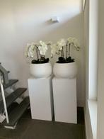 2 zuilen en witte grote bloempotten met kunst orchideeën