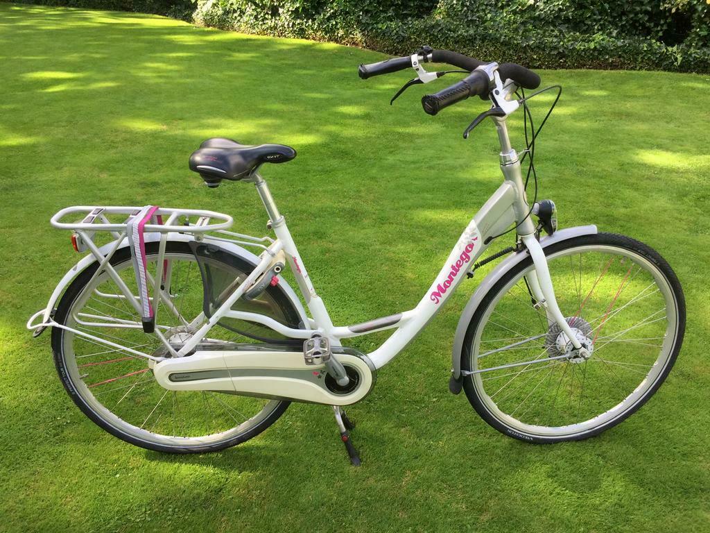 ≥ Montego mama's fiets limited Leontien van Moorsel edition — Fietsen |  Dames | Moederfietsen — Marktplaats
